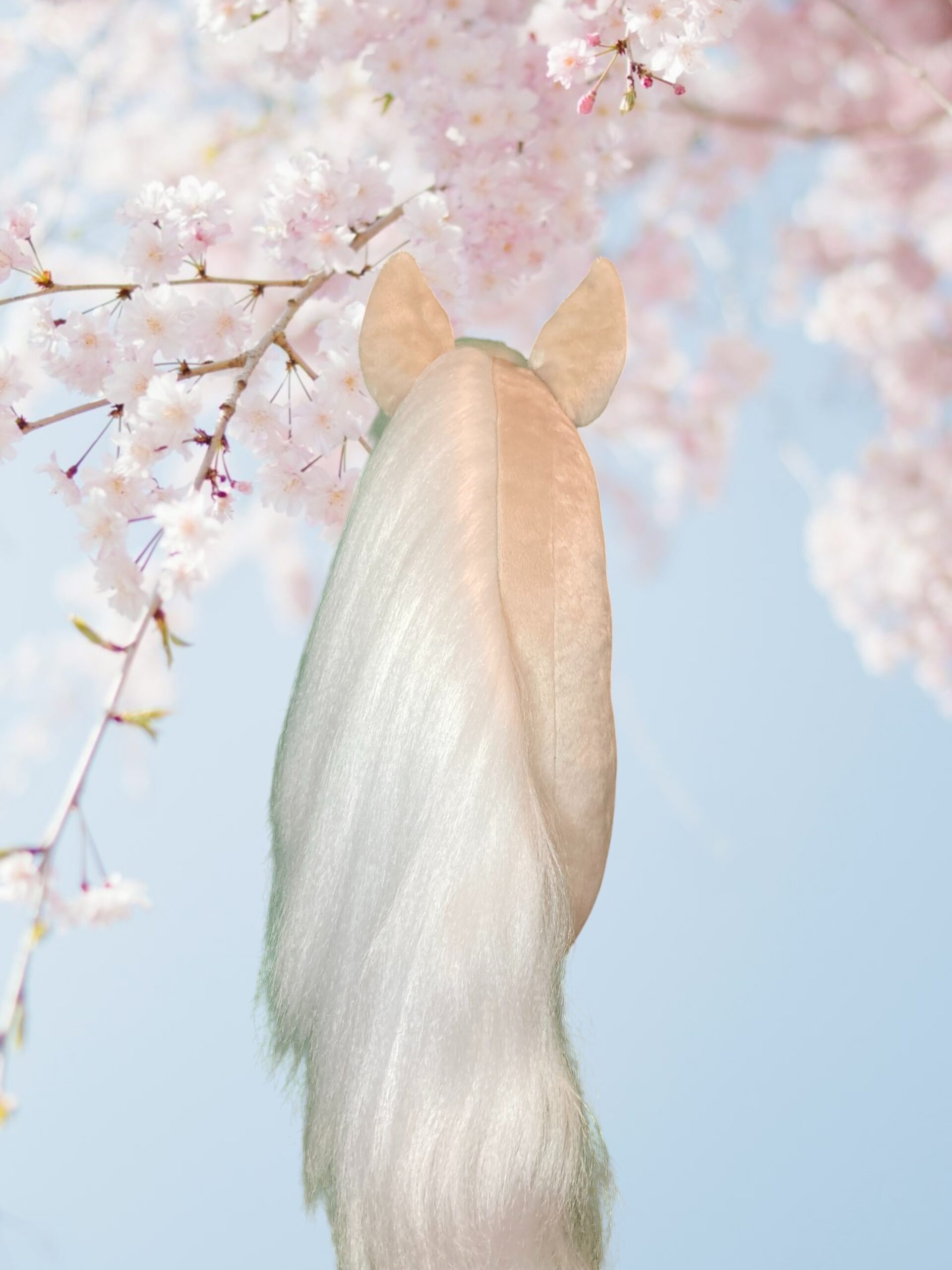 Hobby Horse “Ivory” - Afbeelding 4