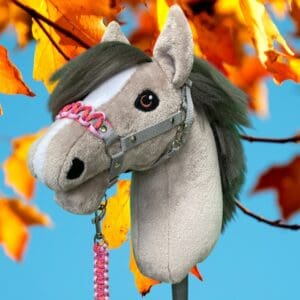 Halsterset "Autumn Blaze"